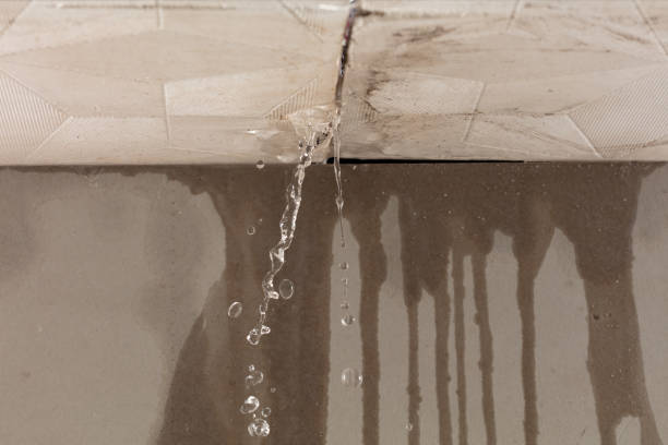 Professional Structural Drying technician working in Gypsum, OH